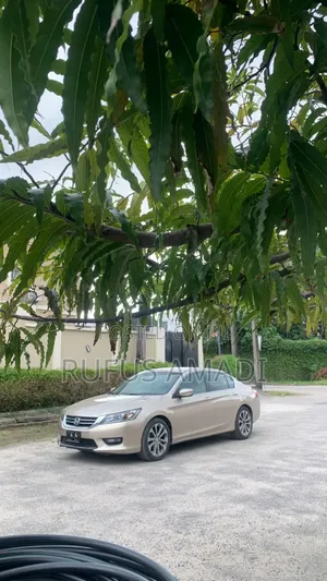 Honda Accord 2014 Gold
