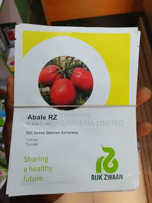 Abale RZ 500 Seeds