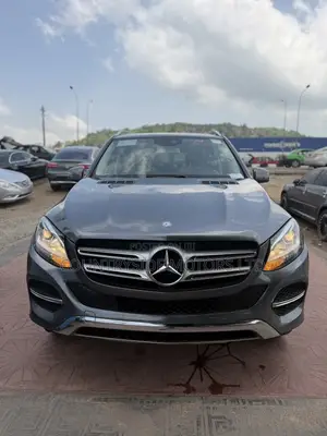 Mercedes-Benz GLE-Class GLE 320 4MATIC 2017 Gray