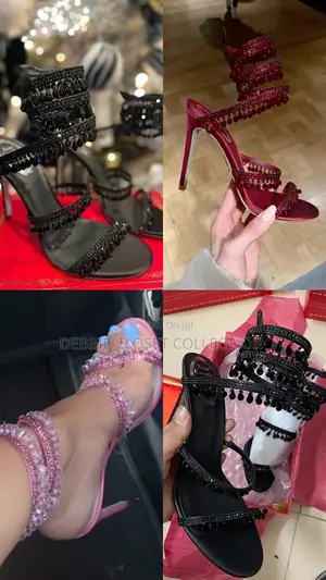 A Fashionable Shoe for Ladies
