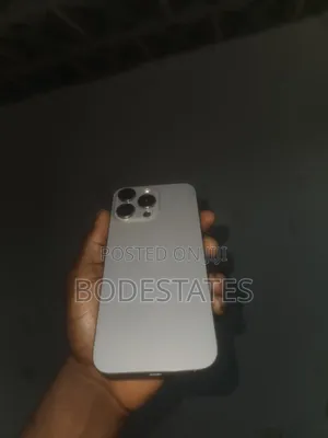 Apple iPhone 15 Pro Max 256 GB Gray