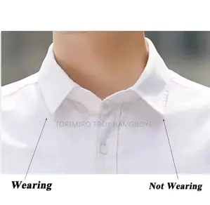 Magnetic Collar Stays
