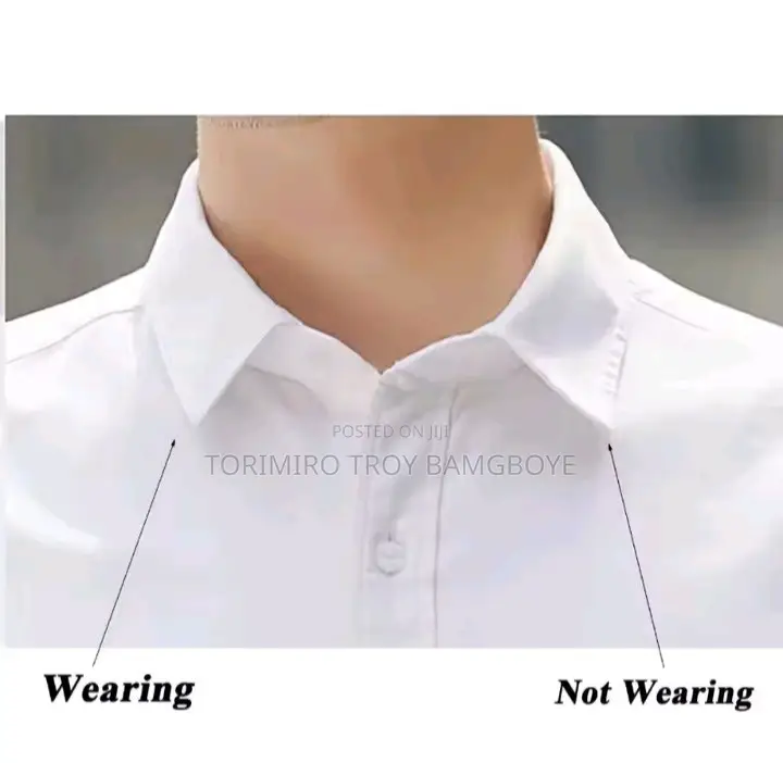 Magnetic Collar Stays