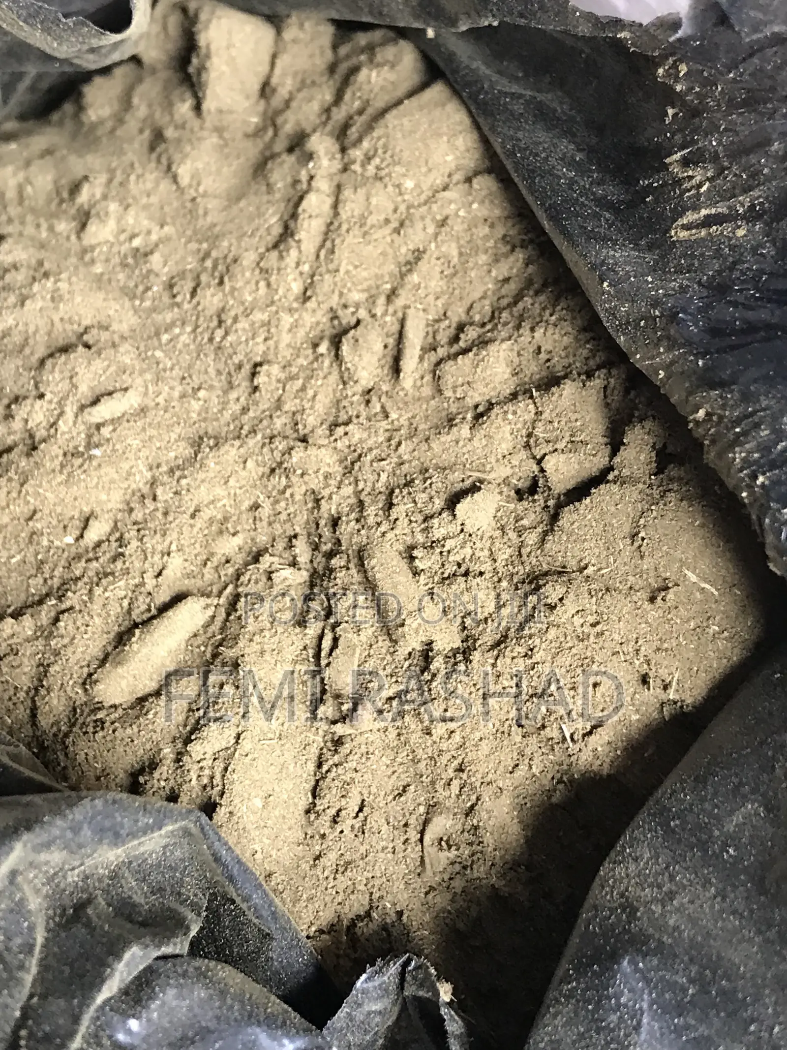 Moringa Powder