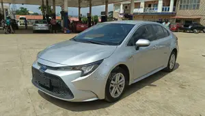 Toyota Levin Entry 2019 Silver
