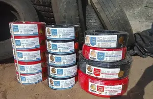 Nigeria Lion Copper Wire
