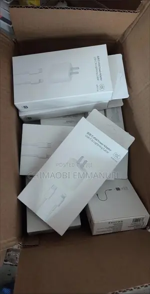 iPhone Charger