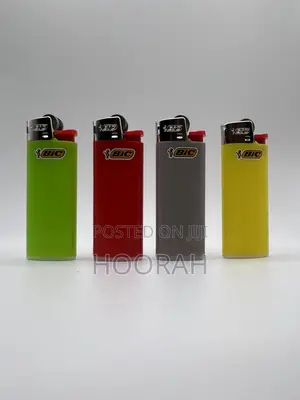 Bic Lighters - Mini