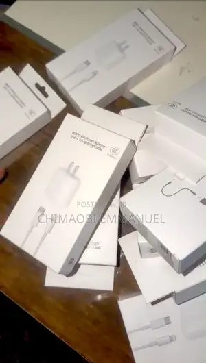 iPhone Charger