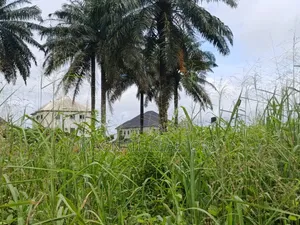 Land for Sale at Akpasima Estate
