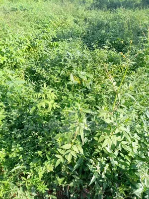 1,672sqm Residential Land at Katampe Extension