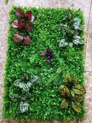 Interior Decoration