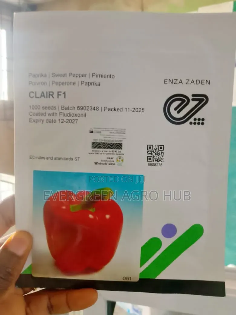 Clair F1 Sweet Pepper (1000seeds)
