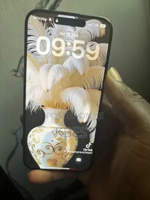 Apple iPhone 15 Pro Max 256 GB Black