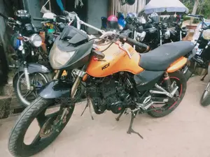 Harley-Davidson 2010 Orange