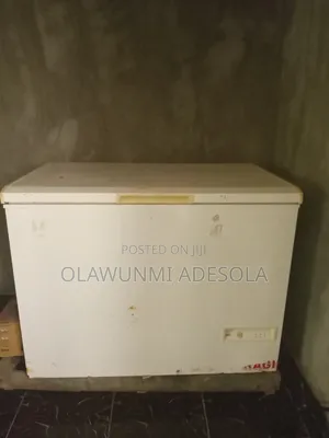 250 LTS Deep Freezer