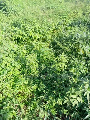 3,000sqm Filling Station Land at Garki
