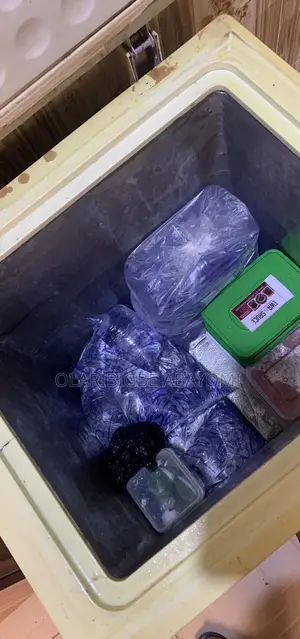 Deep Chest Freezer 150L Very Clean & Fast Freezing⁠
