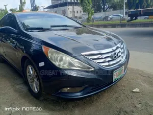 Hyundai Sonata 2010 Gray