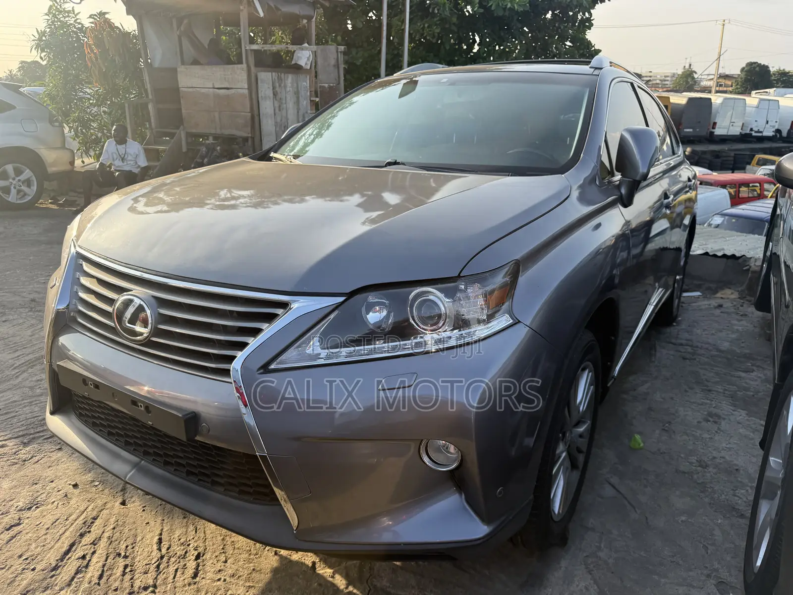 Lexus RX 2013 Gray
