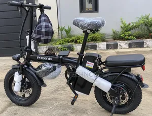 Electric Bicycle