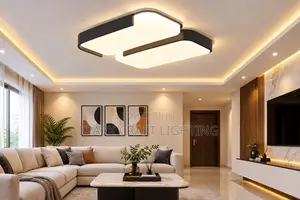 Luxury Modern Double-Panel LED Ceiling Light