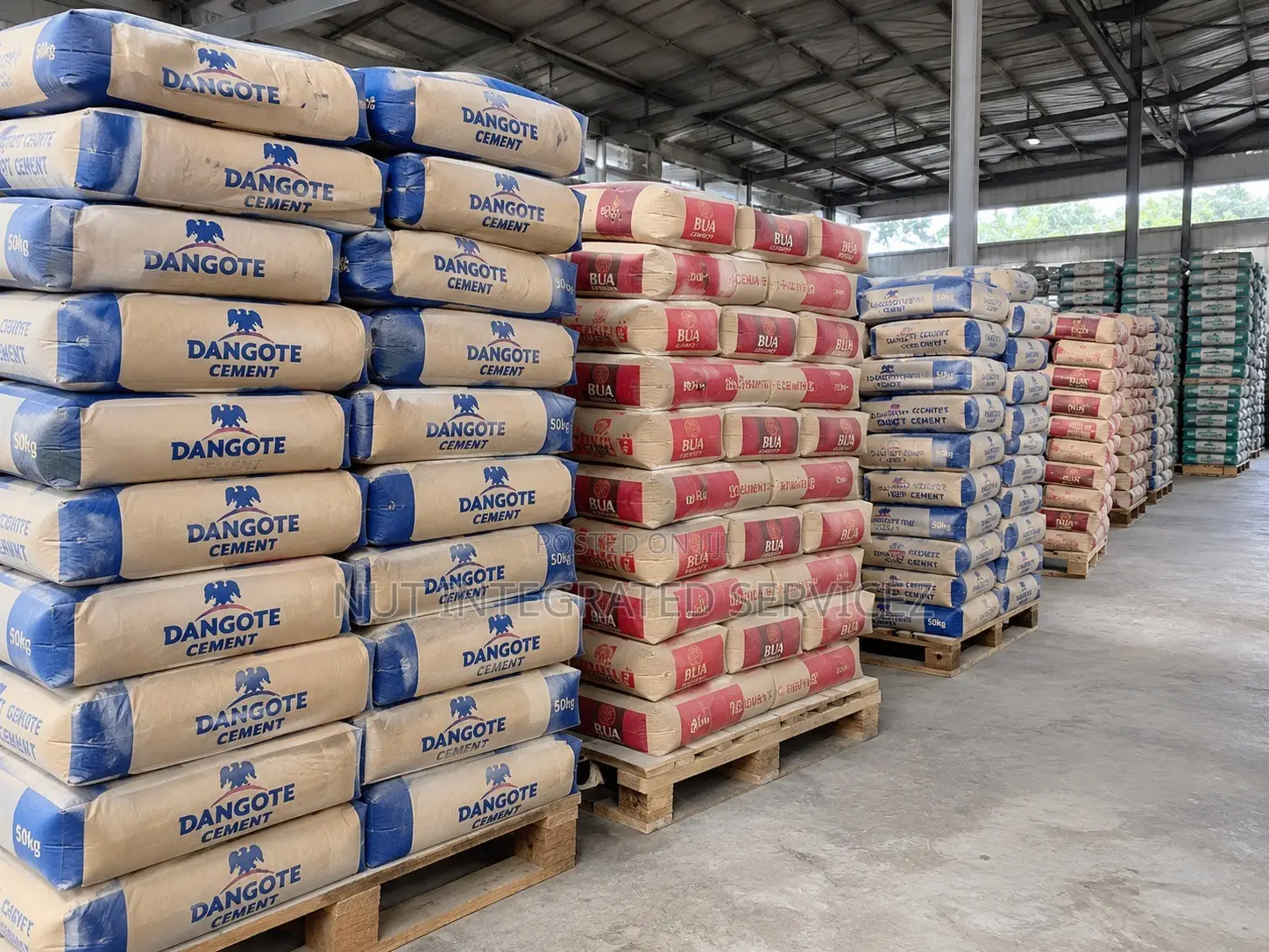 Dangote Bua and Elephant Cement