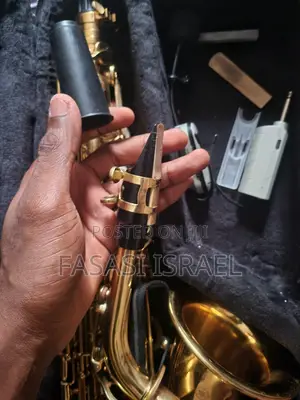 Alto Saxophone and Mic