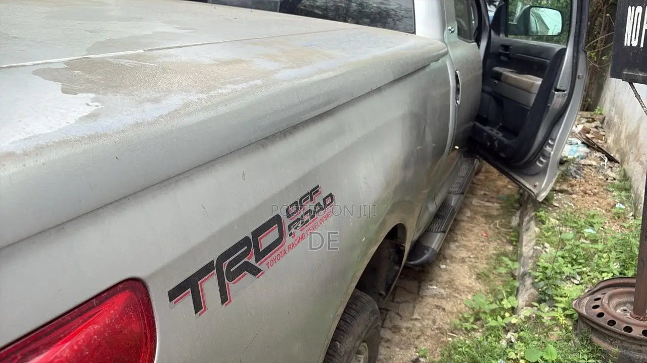 Toyota Tundra 2010 Silver
