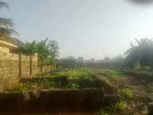 1 Plot of Land at Atan for Sale!