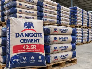 Dangote Bua and Elephant Cement