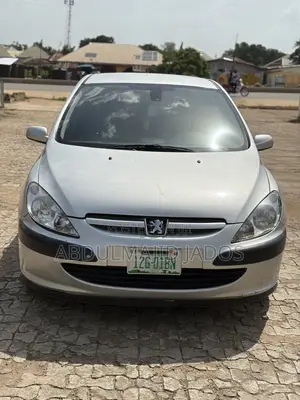 Peugeot 307 2007 Silver