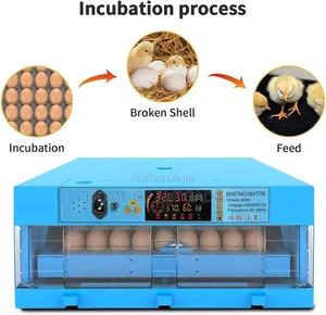 Egg Incubator With Automatic Egg Turning for Hatching Eggs Holds 64