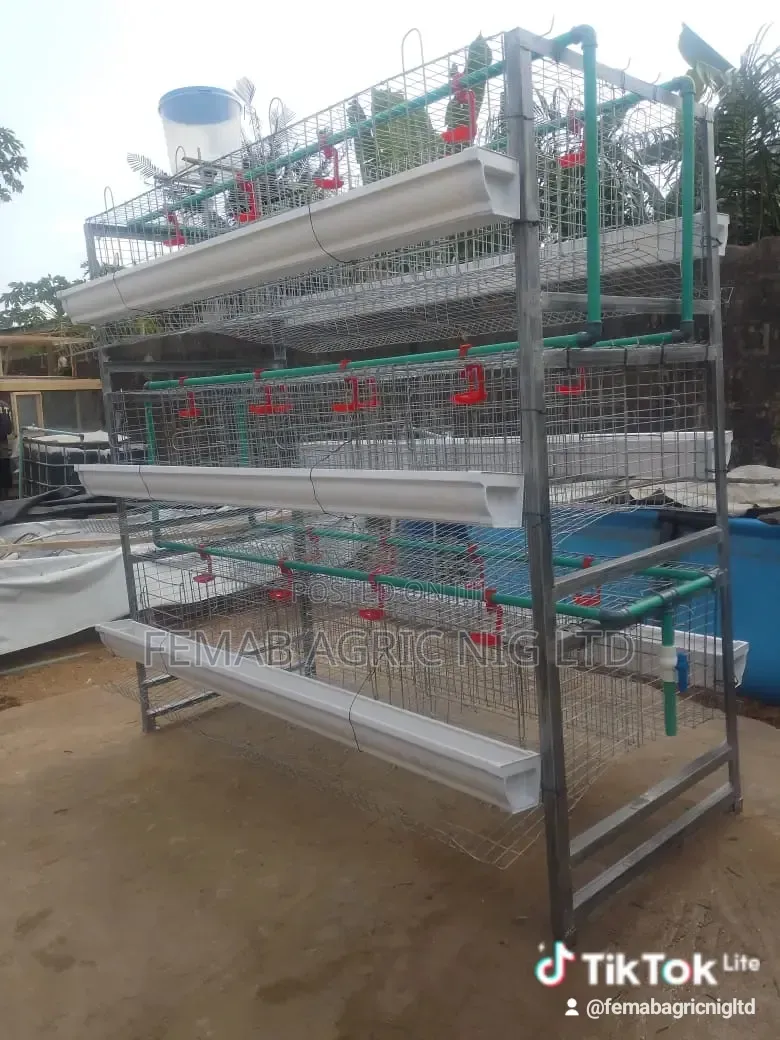 'H' LEG Type Layers Battery Cage
