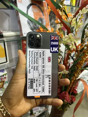 Apple iPhone 12 Pro 256 GB Gray