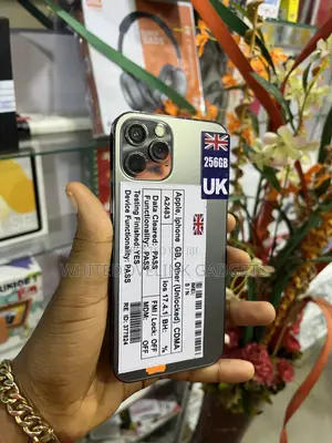 Apple iPhone 12 Pro 256 GB Gray