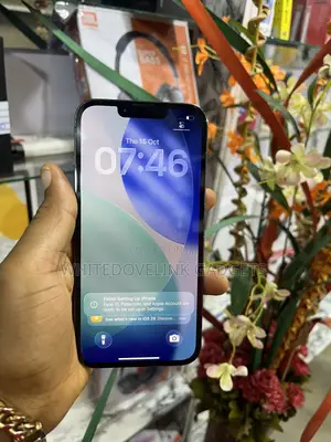Apple iPhone 13 Pro 128 GB Gray