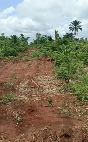 Land for Sell
