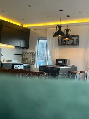 New 1 Bedroom Penthouse