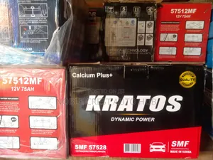 Car Battery Made in Korea