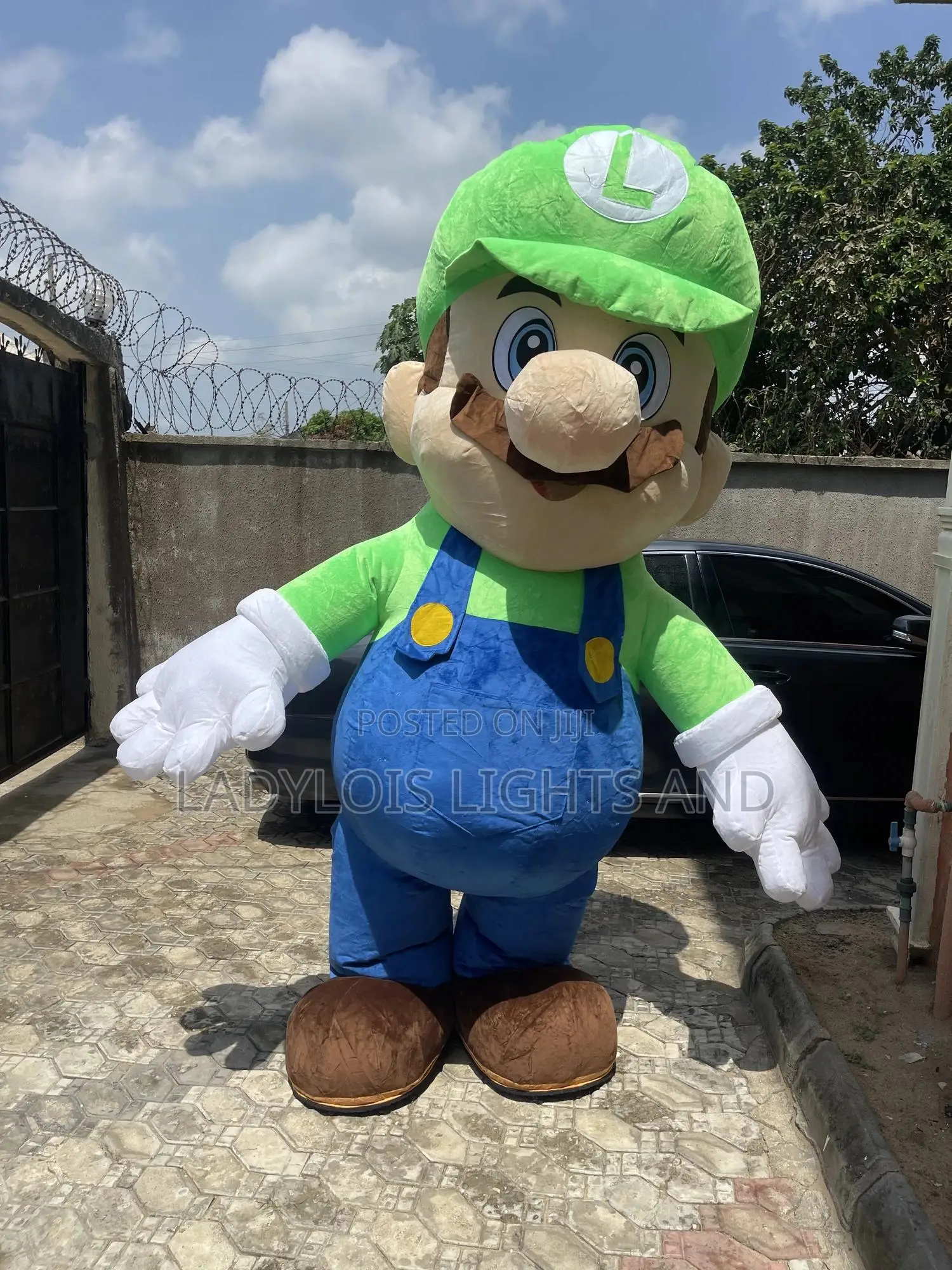 Mario Mascot Costume