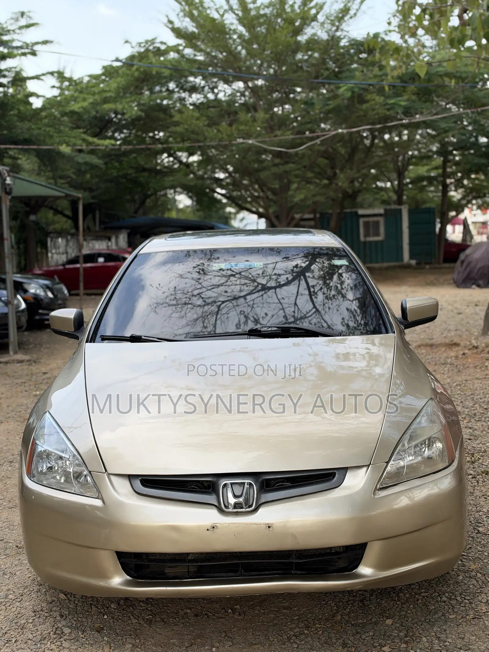 Honda Accord 2004 Gold
