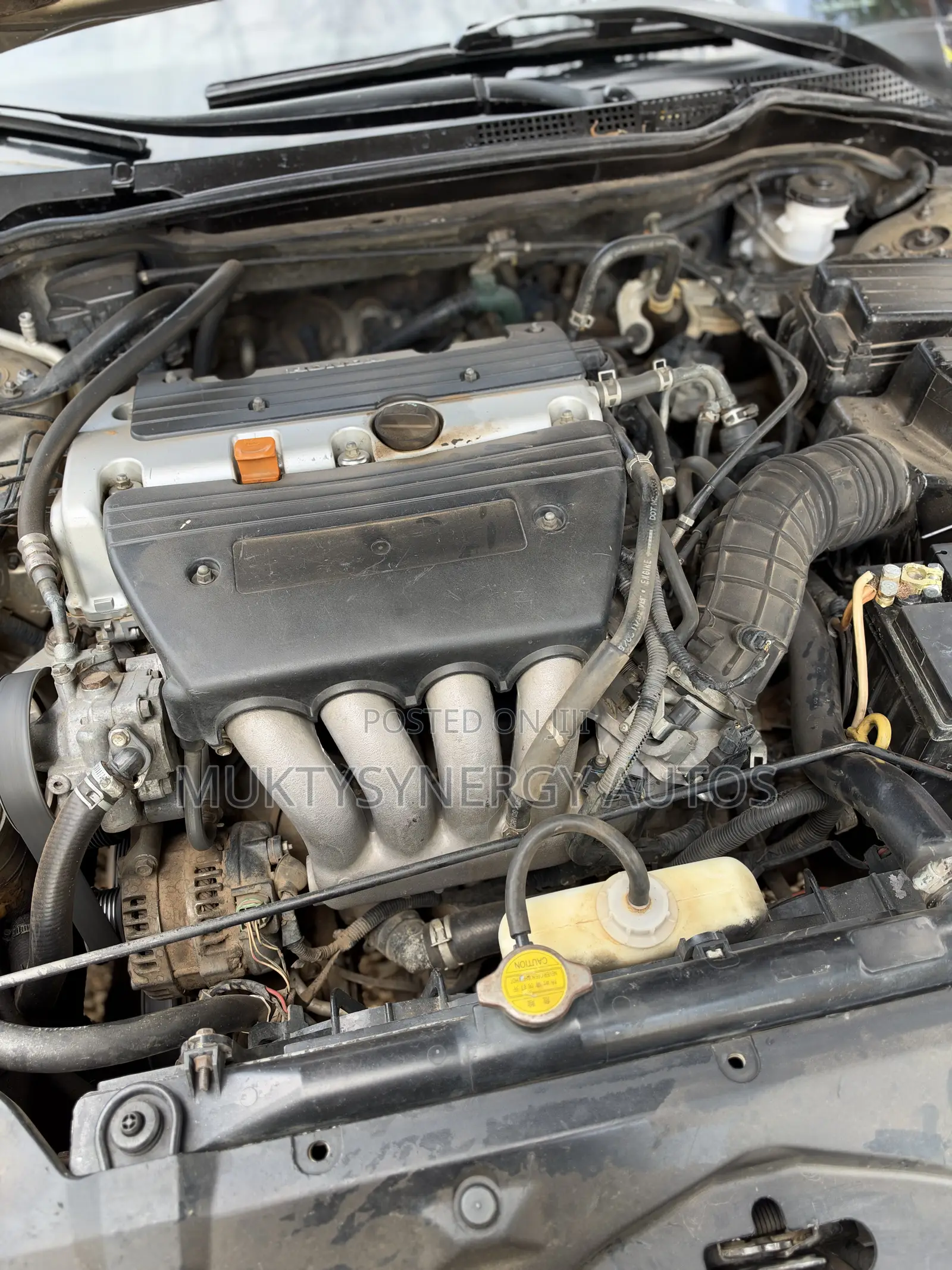 Honda Accord 2004 Gold