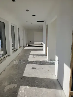 Drywall Solutions for Renovated Homes