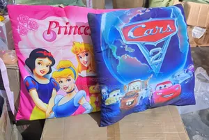 Throw Pillow for Kids Partypack