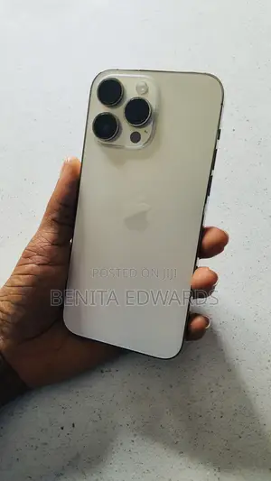Apple iPhone 14 Pro Max 256 GB Silver