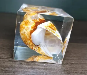 Encapsulation of Compatible Object