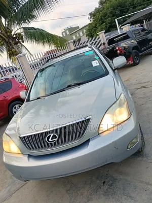 Lexus RX 2007 Silver