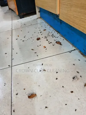 Active Fumigation Services and Sofa Cleaning Services