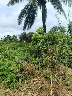 771sqms Land for Sale at Nung Ette